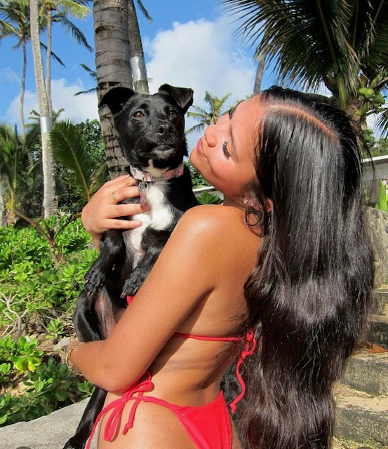 Mauai Bikini Top